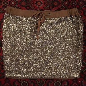 Sequin Skirt